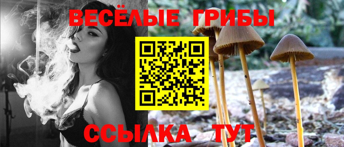 Апрелевка  Галлюциногенные грибы Magic Shrooms  сколько стоит  Вход с VPN 